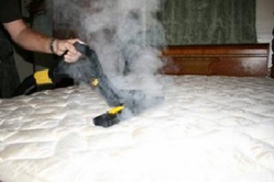 carpet steam cleaning company